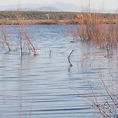 estudios de impacto ambiental